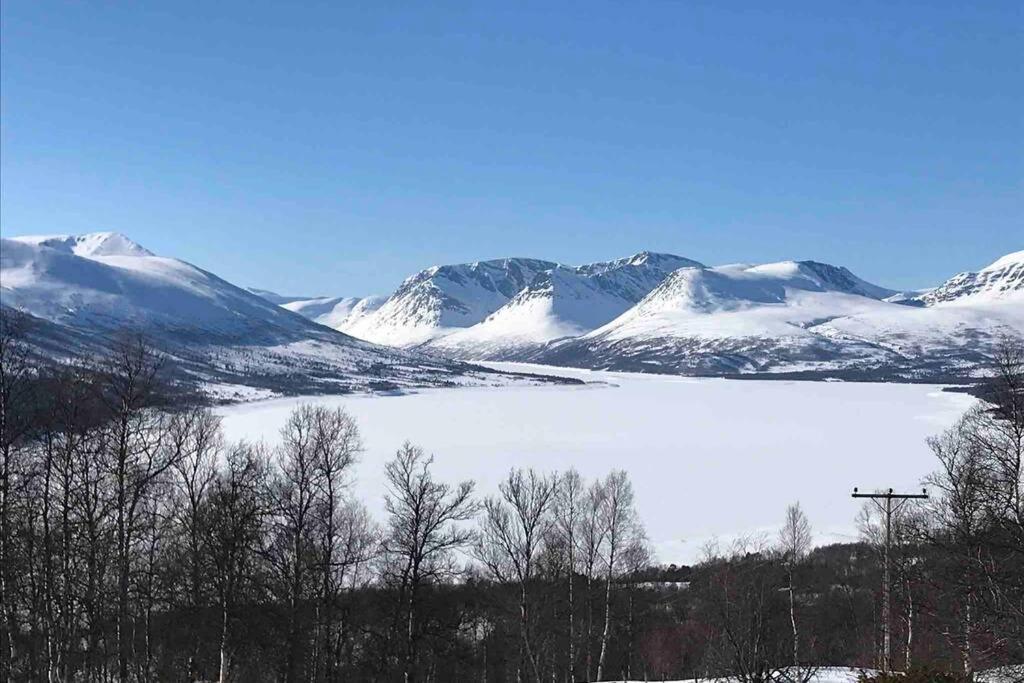 Fjellro Mountain Cabin Oppdal Εξωτερικό φωτογραφία