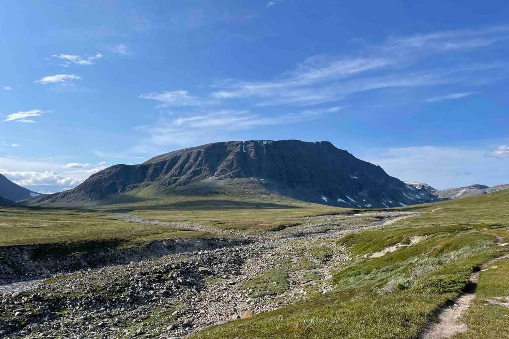 Fjellro Mountain Cabin Oppdal Εξωτερικό φωτογραφία
