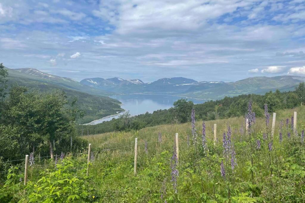 Fjellro Mountain Cabin Oppdal Εξωτερικό φωτογραφία