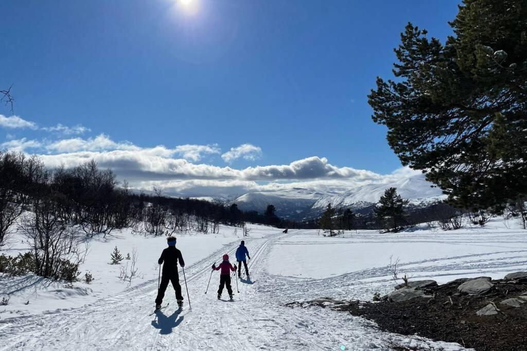 Fjellro Mountain Cabin Oppdal Εξωτερικό φωτογραφία