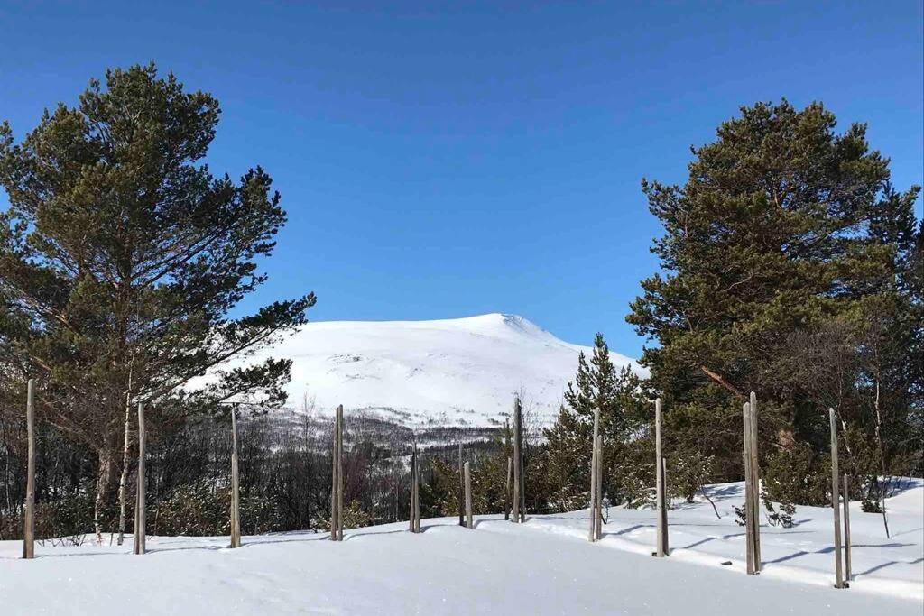 Fjellro Mountain Cabin Oppdal Εξωτερικό φωτογραφία