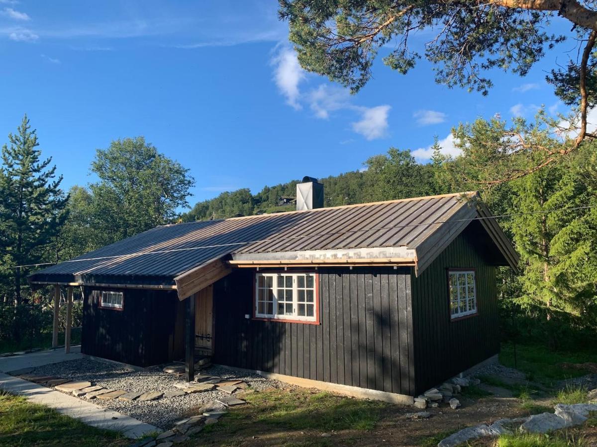 Fjellro Mountain Cabin Oppdal Εξωτερικό φωτογραφία